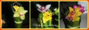 Cilindros con cymbidiums