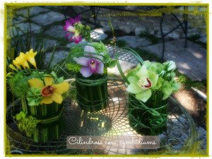 Cilindros con cymbidiums