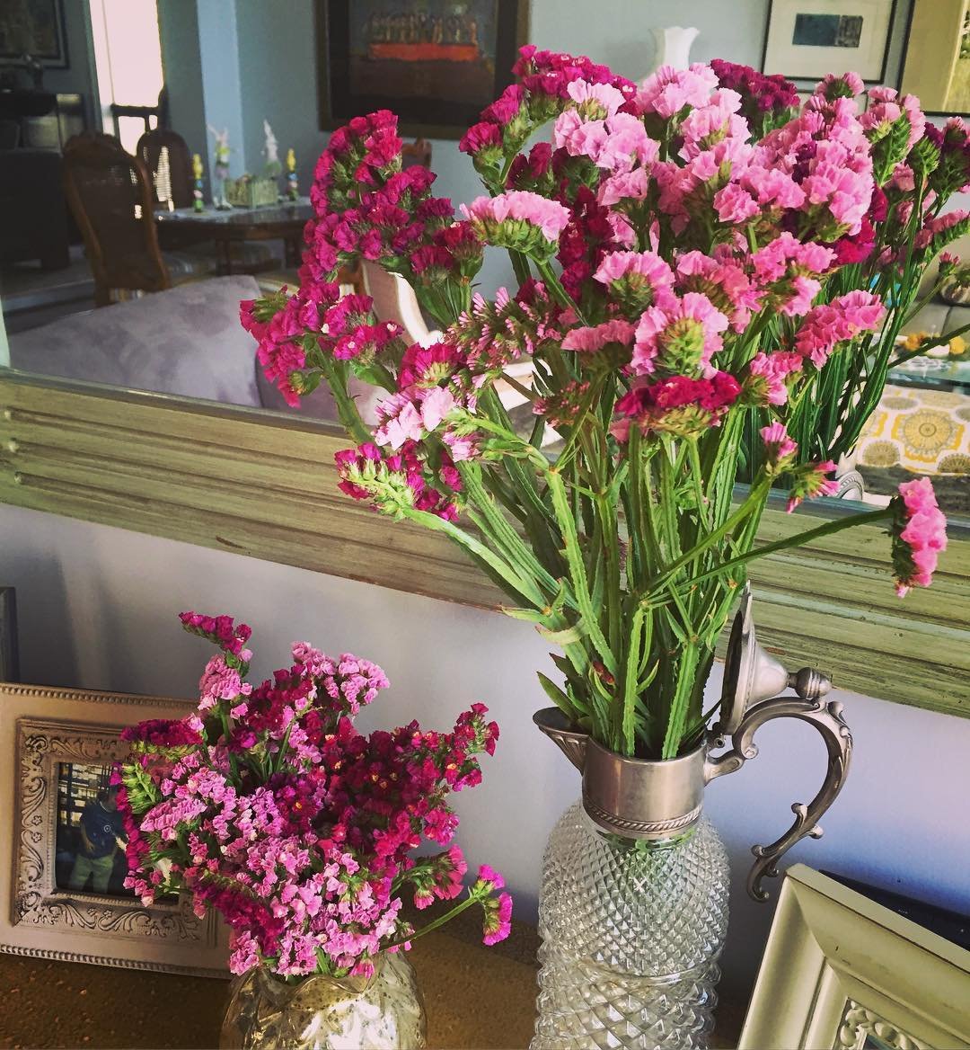 Instagram Image