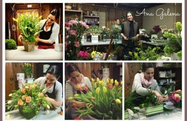 ana galena trabajando