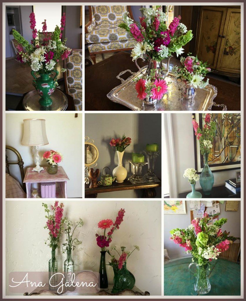 Viviendo-entre-flores