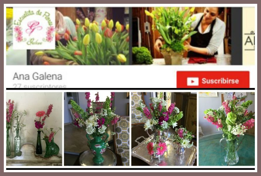 blog ana galena