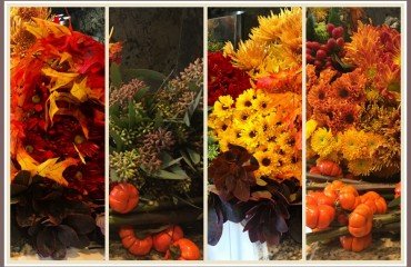 las flores en el otoño