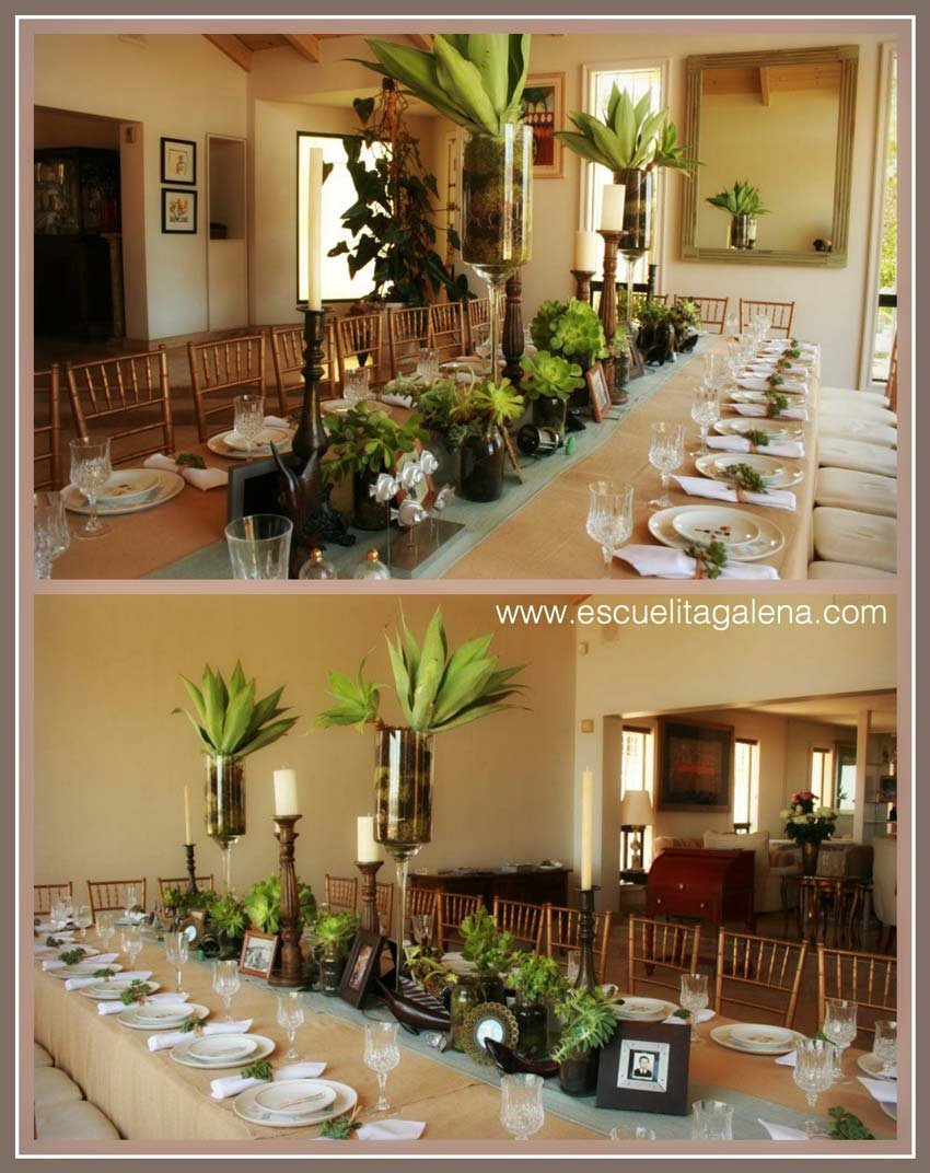 suculentas-en-la-decoracion-de-la-mesa