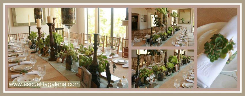 suculentas-para-decorar-la-mesa