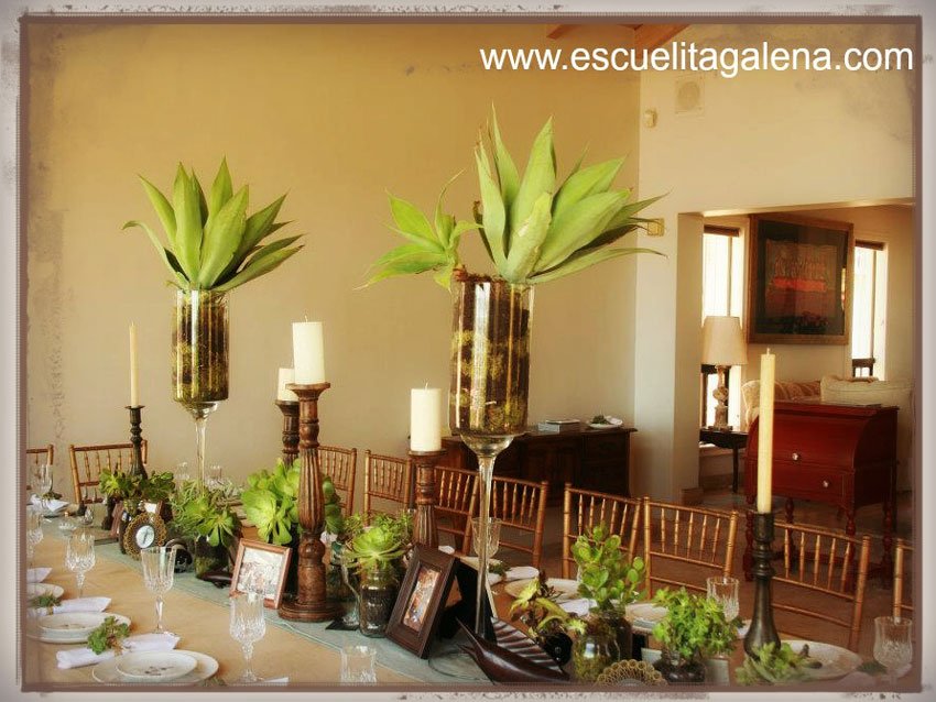 suculentas-y-magueys-para-la-mesa