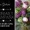 Diseñando con Peonias